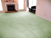 Clean, fresh green carpeting in living room.